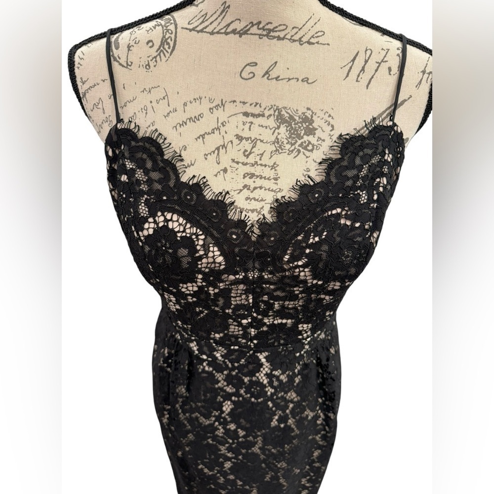 J. Crew Dress Black Lace Overlay Nude Lining MIDI - Picture 2 of 16